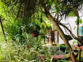 Green jade Inn Mirissa